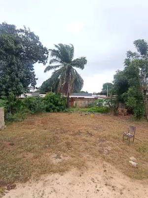 Terrain 1 lot de 600 m² en vente à Agbalépédo – 55 millions FCFA — photo 4