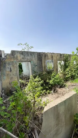 Terrain 1 lot en vente au bord du Boulevard Circulaire du 13 Janvier – 300 millions FCFA — photo 3