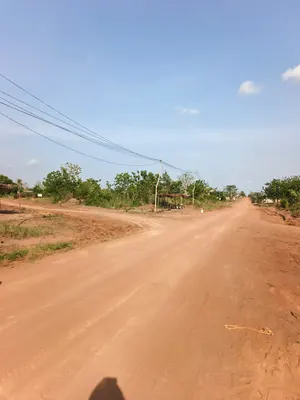 Terrain de plus de 5 lots en vente à Kpala-Djigbé – 12 millions FCFA le lot — photo 2
