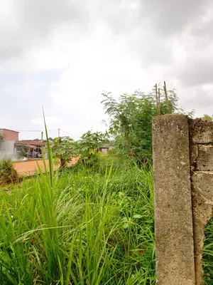 Terrain 1 lot en vente à Agoè Sogbossito face grande route de 30m – 27 millions FCFA — photo 5