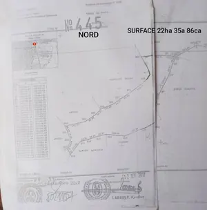 Terrain 22 hectares en vente à Lilikopé – prix à partir de 10 millions FCFA l'unité