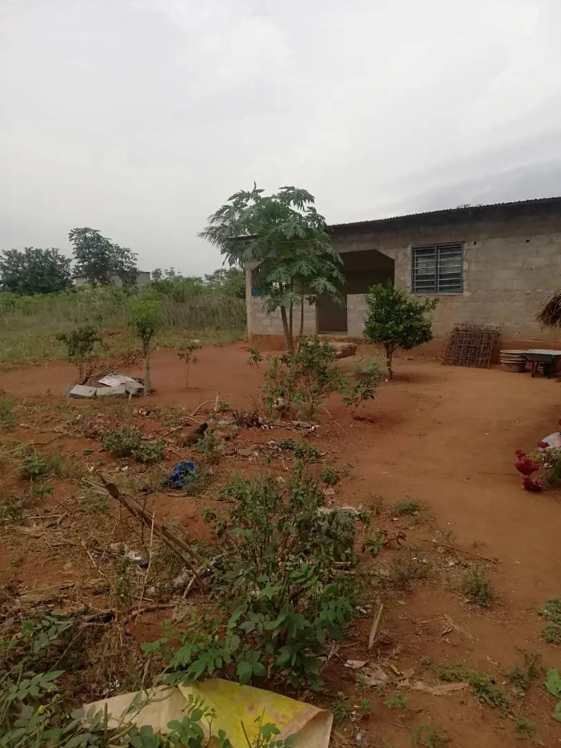 Terrain 1 lot en vente en angle de rue à Kpala Idavé – 8 500 000 FCFA