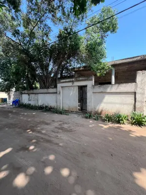 Maison 3 chambres à vendre en angle de rue à Kodjoviakopé – 80 millions FCFA — photo 3