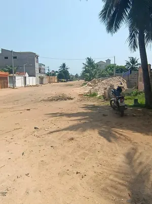 Terrain 1 lot en vente à Adidogomé Boukarou – 80 millions FCFA — photo 5