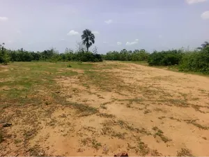 Terrain de 10,50 hectares en vente à Dalavé Adjoguidi Torokpi proche du goudron – 60 millions FCFA l'hectare — photo 2