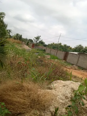 Terrain demi-lot clôturé en vente à Adétikopé – 5 millions FCFA — photo 5