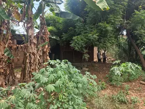 Vente d'un terrain à Adidogomé Sagbado Logoté, 1 lot, clôturé, bord du goudron – 70 millions FCFA à revoir — photo 2