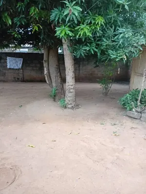 Terrain demi-lot 300 m² en vente à Avédji Coconut à 120 m du goudron – 25 millions FCFA