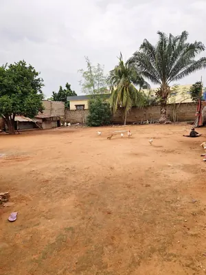 Terrain de 601 m² en vente à Agoè Aŋomé près du rond-point Adroukpapé – 70 000 000 FCFA — photo 5