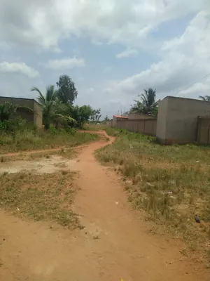 Terrain 4 lots en vente à Apessito, quartier La Paix – 14 millions FCFA par lot — photo 5