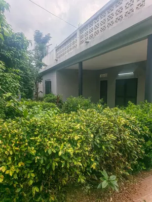 Villa 5 chambres à rénover en vente à Tokoin Hôpital – 75 millions FCFA — photo 4