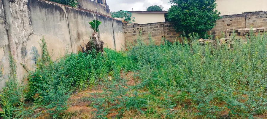 Terrain 1 lot en angle de rue clôturé à vendre à Agoè Nyivé Gendarmerie – 50 millions FCFA