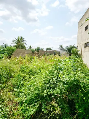 Terrain 340 m² en vente à Legbassito – 15,5 millions FCFA — photo 2