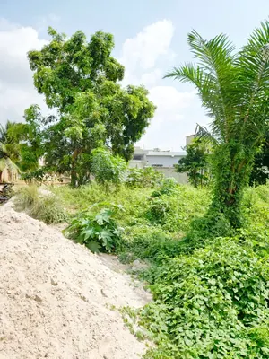 Vente d'un terrain à Légbassito Marché, 750 m², à 60 mètres du goudron – 35 000 000 FCFA — photo 7