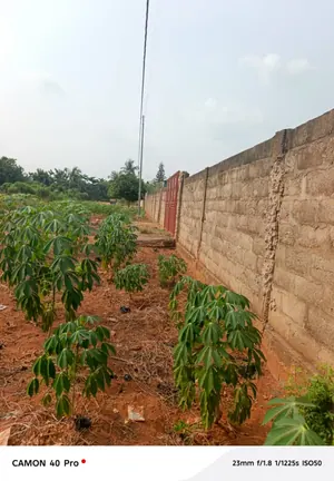 Terrain à vendre à Adidogomé, derrière la base EBOMAF face aux rails – 55 millions FCFA — photo 4