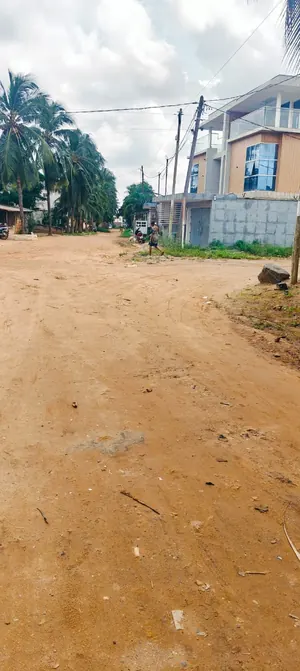 Terrain 1 lot en angle de rue clôturé à vendre à Agoè Nyivé Gendarmerie – 50 millions FCFA — photo 3