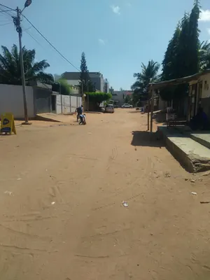Vente d'un terrain à Agoè Assiyéyé Minamadou, 1 lot déduit, à moitié clôturé – 50 millions FCFA — photo 3