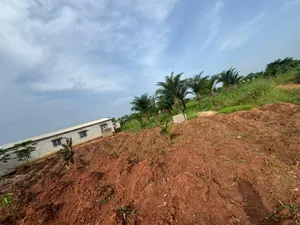 Terrain 600 m² en vente à Aképédo Zanguera – 9 millions FCFA