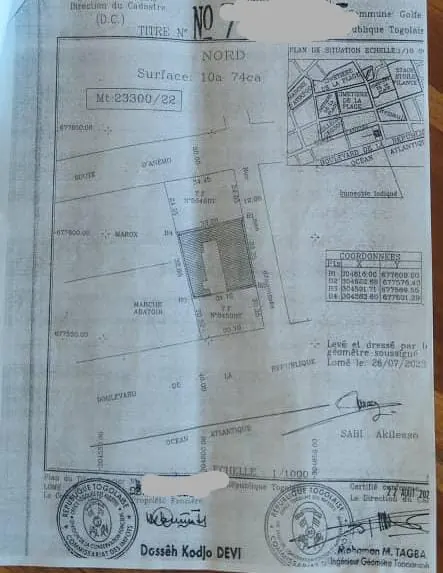 Terrain 1074 m² en vente à Assigamé (Abattoir) – 800 millions FCFA