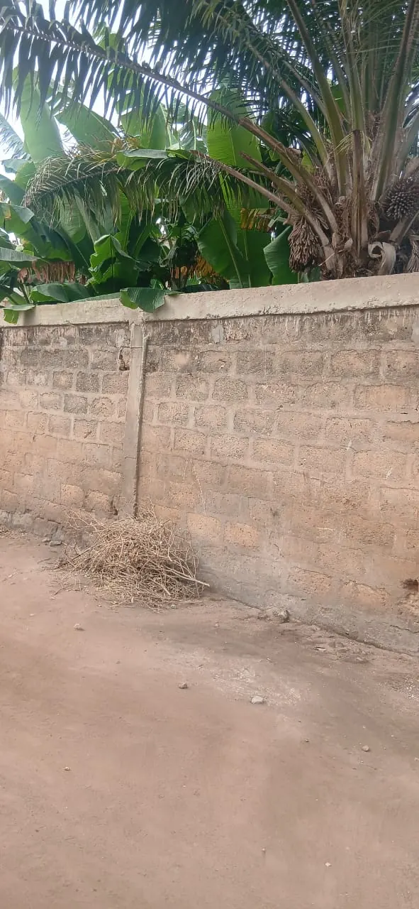 Terrain de 150 m² en vente derrière l'entreprise de l'Union à Lomé – 8,5 millions FCFA