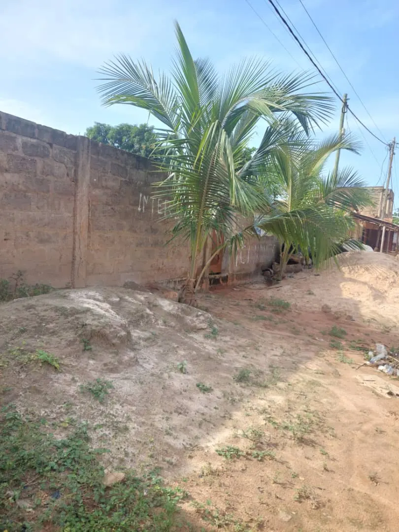 Terrain 900 m² en vente à Assigome Vakpossito – 45 millions FCFA