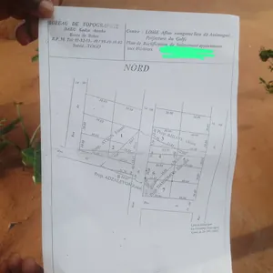 Terrain demi-lot à vendre à Sanguéra Wougome – à partir de 10 millions FCFA