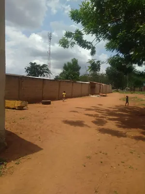 Terrain 4 lots en vente à Apessito, quartier La Paix – 14 millions FCFA par lot — photo 2