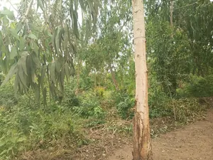 2 lots de terrain à vendre à Adidogomé Apédokoè – prix à partir de 23 millions FCFA — photo 2