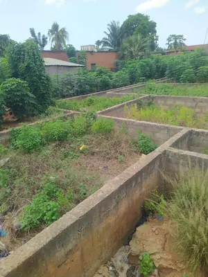 Terrain 667 m² en vente à Agoè Assiyéyé – à partir de 35 millions FCFA — photo 2