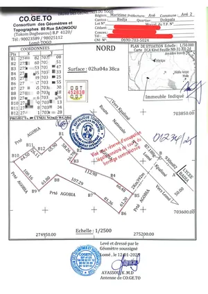 Terrain agricole 2 hectares à vendre à Bagbé Dokpala – 16 millions FCFA