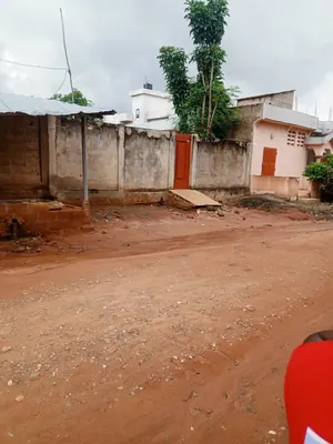 Terrain demi-lot 300 m² en vente à Pharmacie Adouni carrefour Aisèd – 10 millions FCFA — photo 1