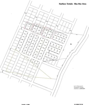 Terrain à vendre à Bolou-Kpéta – 1 000 000 FCFA le lot (plus de 30 lots disponibles)