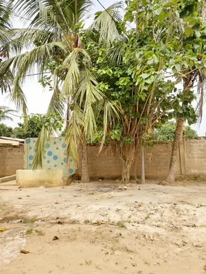 Terrain demi-lot 300 m² en vente à Légbassito Amadenta – 8 750 000 FCFA — photo 2