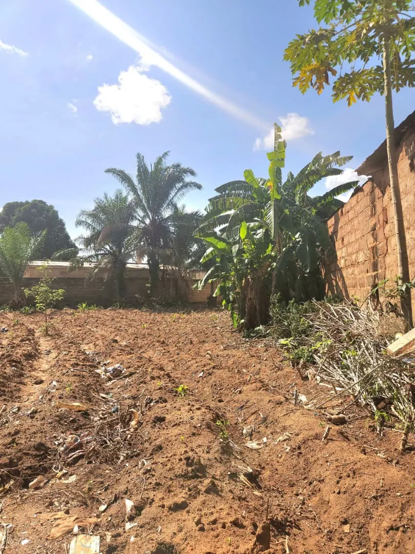 Terrain 983 m² en vente en bordure de grande voie à Agoé Sogbossito – 37 millions FCFA