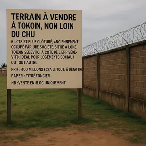Terrain 6 lots et plus clôturé en vente à Tokoin Sébevito, proche du CHU – 400 millions FCFA