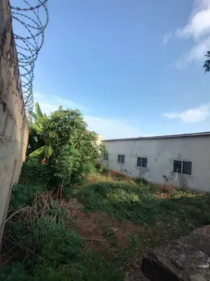 Vente d'un terrain à Adidogomé Sagbado, demi-lot clôturé, environ 150 m du carrefour CFA – 15 millions FCFA