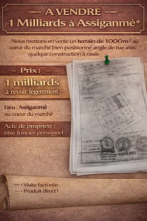 Terrain 1000 m² angle de rue à vendre à Assiganmé – 1 milliard FCFA