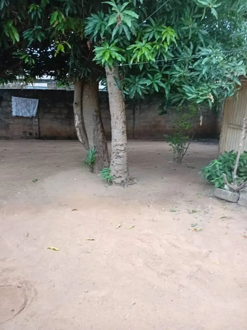 Terrain demi-lot 300 m² en vente à Avédji Coconut à 120 m du goudron – 25 millions FCFA