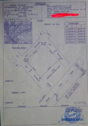 Terrain 3260 m² en vente à Noepé Megnawoe, angle de rue – 30 millions FCFA