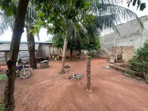 Terrain de 481 m² avec ancienne construction en vente à Agoè Légbassito Avinato – 17 000 000 FCFA — photo 3