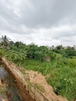 Terrain demi-lot en vente en bordure de grande route à Agoè Sogbossito Somayaf – 15 000 000 FCFA — photo 5