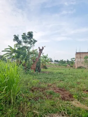 Terrain 1060 m² en vente à Apéssito derrière Station Sadko – 25 000 000 FCFA — photo 2