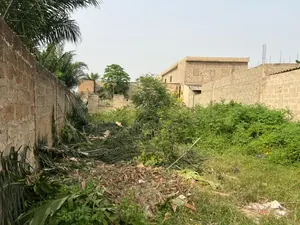 Terrain 300 m² en vente à Lankouvi Gavékope – 12,5 millions FCFA — photo 2