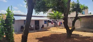 Vente d'une maison à Totsi Gblinkomé, angle de rue, 1 chambre salon, 343 m², titre foncier personnel – 35 millions FCFA — photo 4