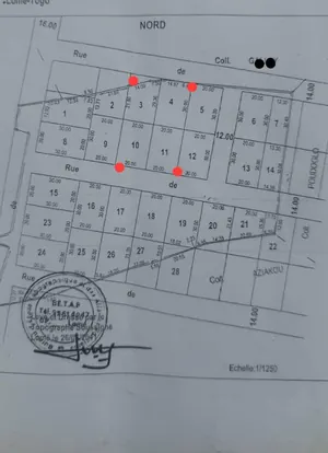 Vente de terrain à Zanguera Akepedo Jérusalem, 4 lots, bornage fait – 15 millions FCFA le lot — photo 1