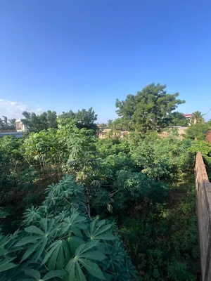 Terrain 1 lot en vente à Agoè Kitidjan – 60 millions FCFA — photo 3