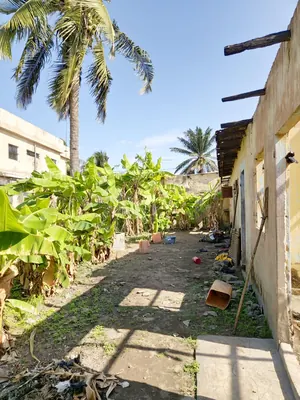 Vente d'un terrain à Nyékonakpoè Lycée, 382 m², à 250 m du goudron – 35 000 000 FCFA — photo 9