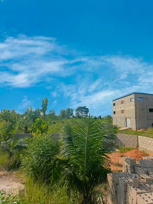 Terrain de plus de 5 lots en vente à Kpala-Djigbé – 12 millions FCFA le lot — photo 3