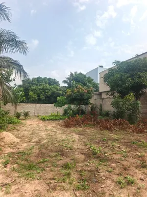 Terrain 1 lot de 600 m² en vente à Agoè Zossime, à 30 mètres du goudron – 27 millions FCFA le lot — photo 2