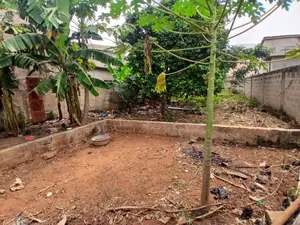 Terrain 900 m² en vente en angle de rue à Amadahomé - Nanegbe – 16 millions FCFA — photo 4